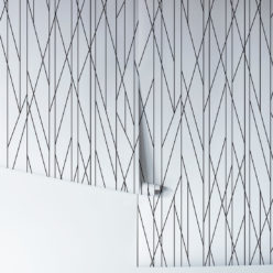 Nixon Wallpaper - Image 3
