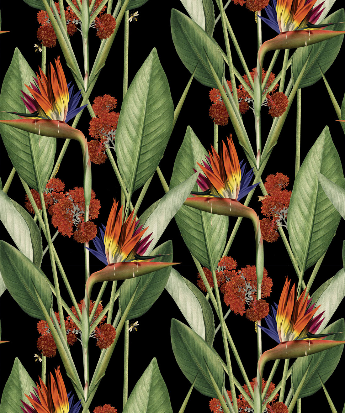 Birds of paradise Wallpaper, Kingdom Home