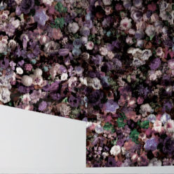 Flower Pool Wallpaper - Image 3