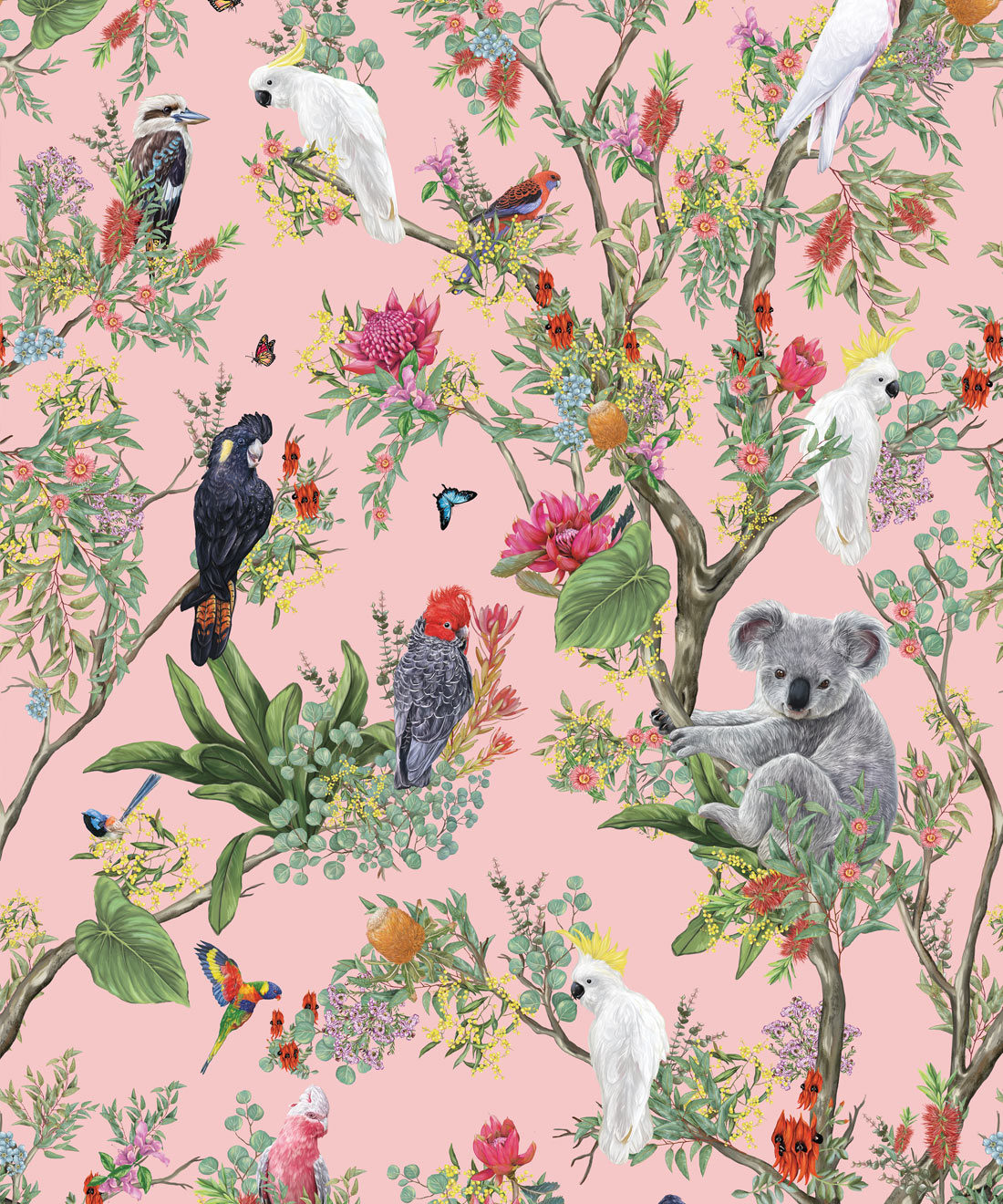 Australia Wallpaper • Cockatoos, Koalas, Parrots, Finches • Milton & King Australia • Coral Wallpaper Swatch