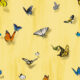 Papilio Wallpaper • Butterfly Wallpaper With Butterflies • Sunrise • Swatch