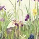 Iris Garden Mural • Beige • Swatch