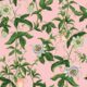 Passion Wallpaper • Wallpaper with Passion Fruit • Peach • Swatch