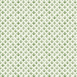 Moss