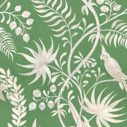 Fern Green