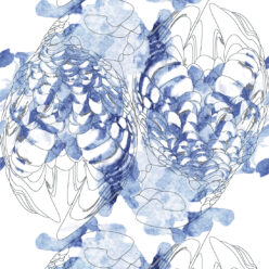 Cobalt