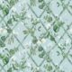 Petite Climbing Sweet Pea Wallpaper • Light Provence • Swatch