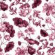 Golden Koi Wallpaper • Magenta • Swatch