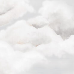 Mist
