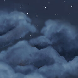 Night