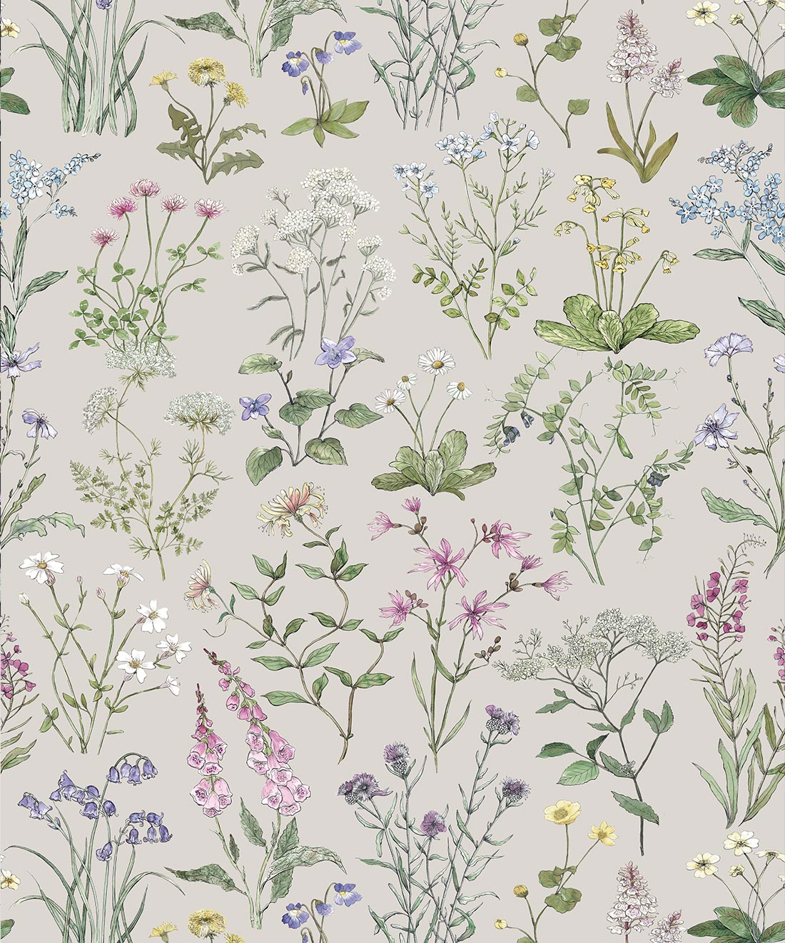 Wild Meadow Wallpaper • Stone • Swatch