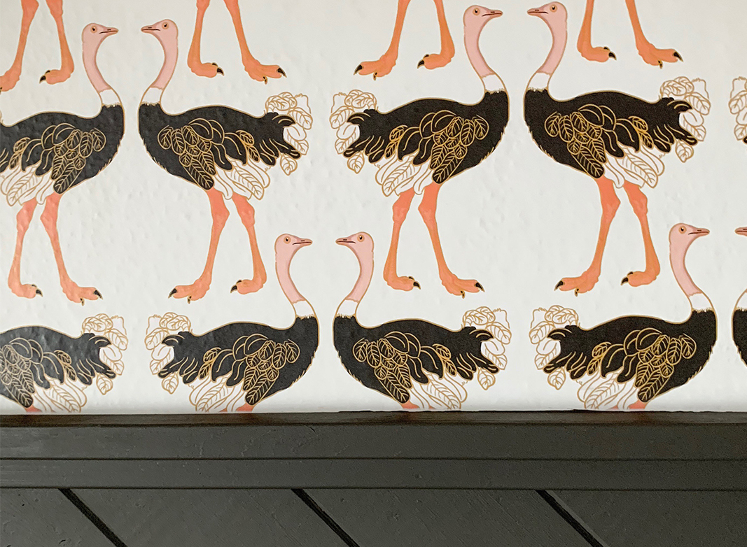 Ostrich Strut • How To Prepare Walls For Wallpapering Blog Hero Image