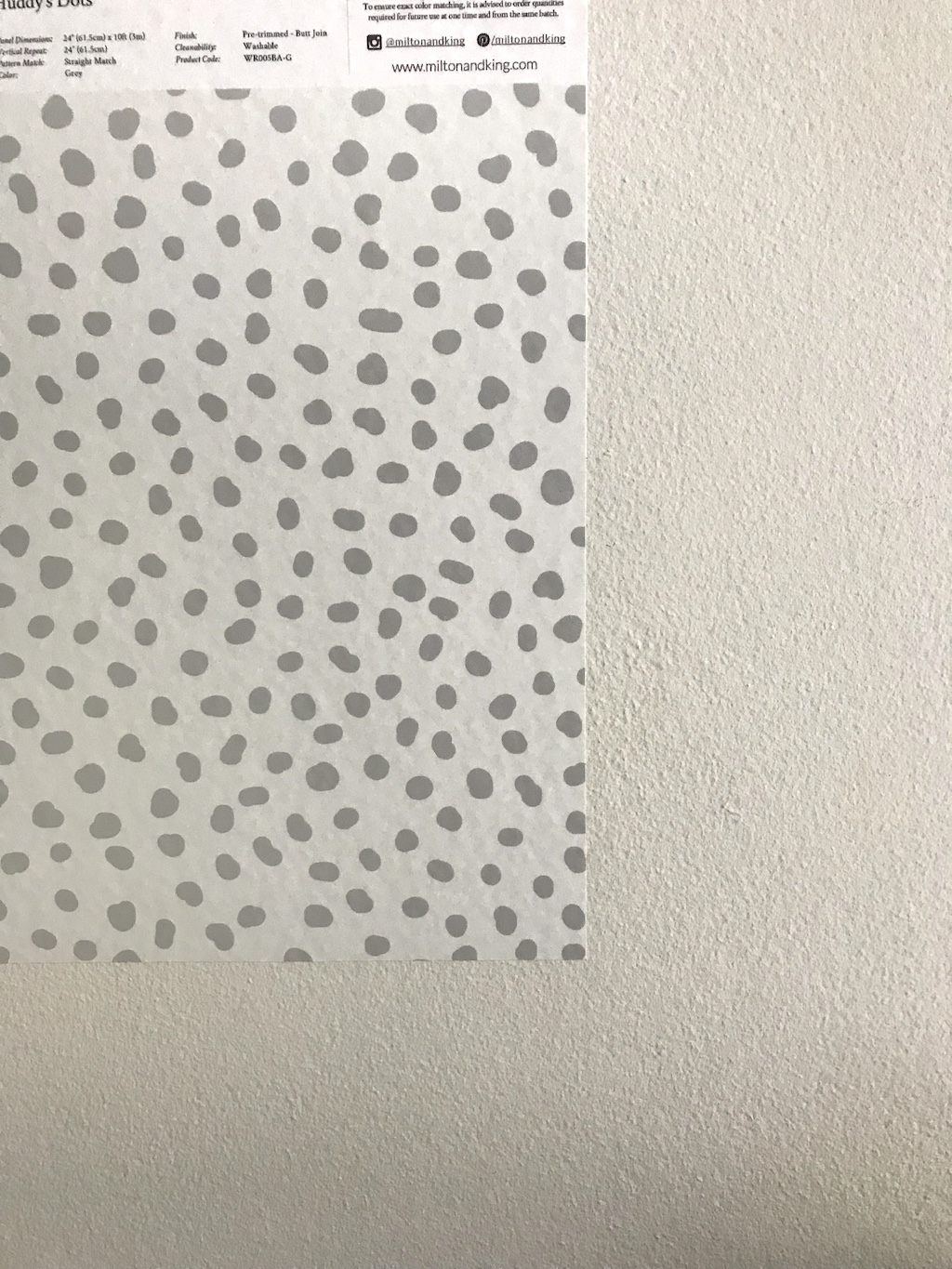 Traci Sheppard Tested a Sample of the Huddy's Dots Wallpaper