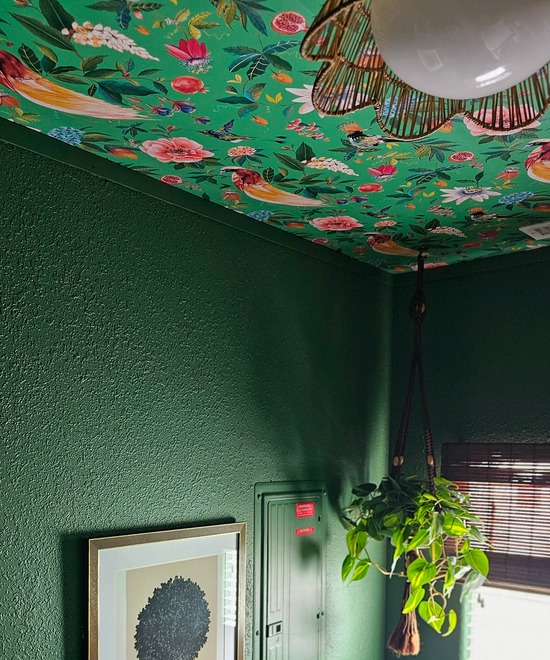 Gardenia wallpaper on the ceiling in the laundry room