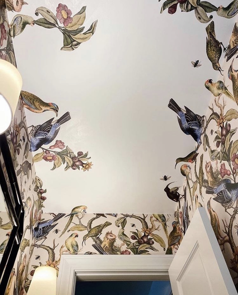 Ornithology Wallpaper on the ceiling