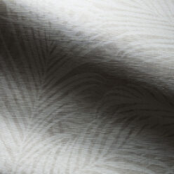 Plaster