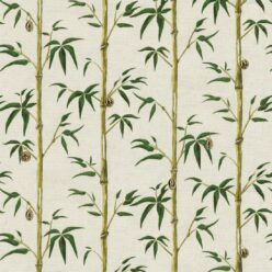 Bamboo