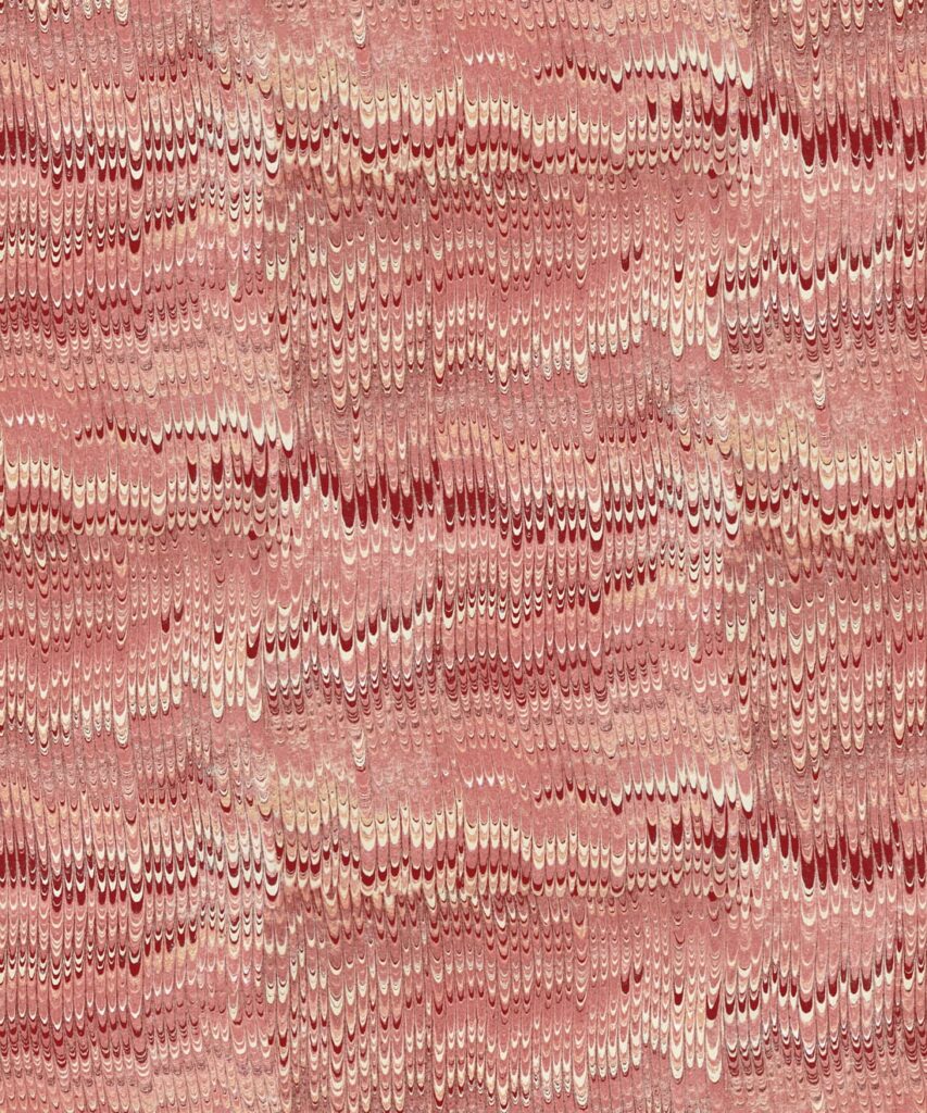1970 Wallpaper - Colorway: Rosa - Poodle & Blonde Collection - Swatch