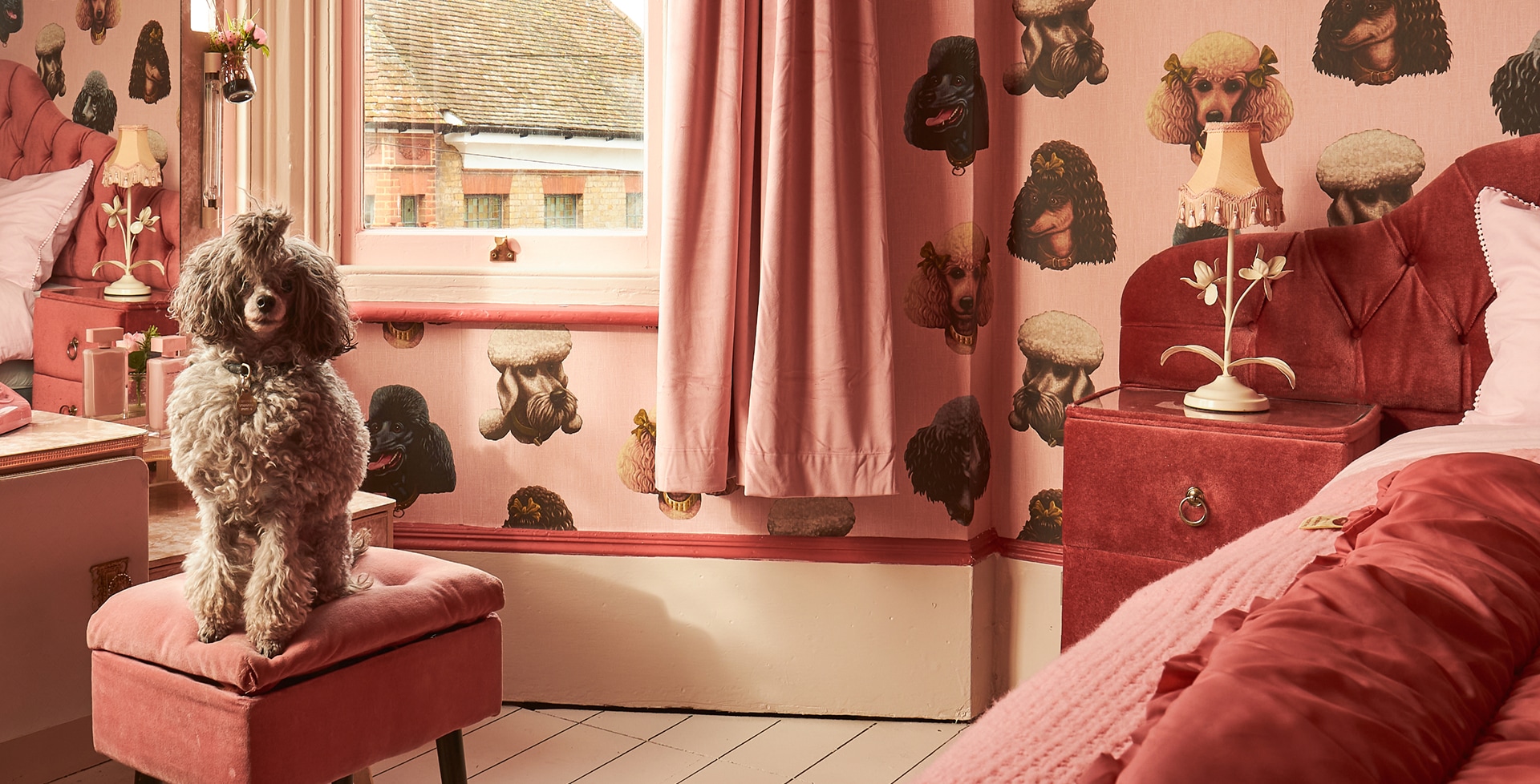 Poodle & Blonde Wallpaper Collection