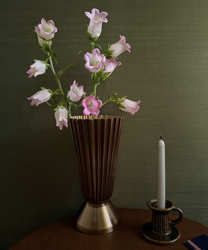 Earthen Olive Grasscloth Wallpaper - Fable Collection by M&K Studios - Insitu