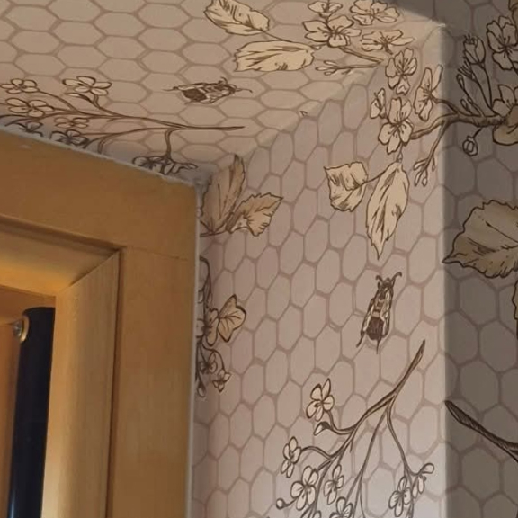 Adelaide Wallpaper Specialists